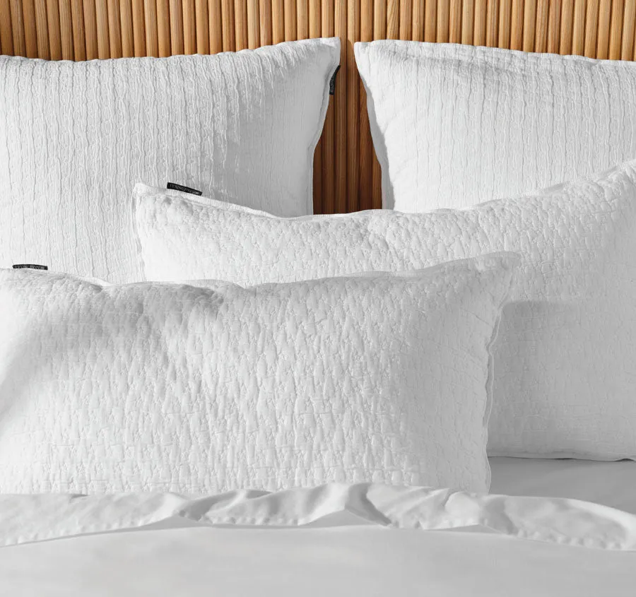 Authentic Star Standard Pillowsham White