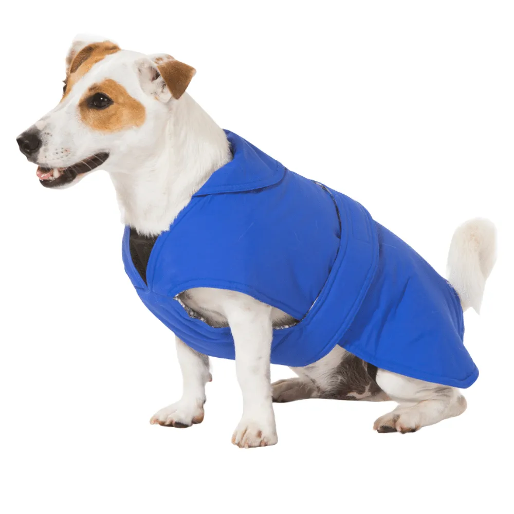 Blue Dog Coat