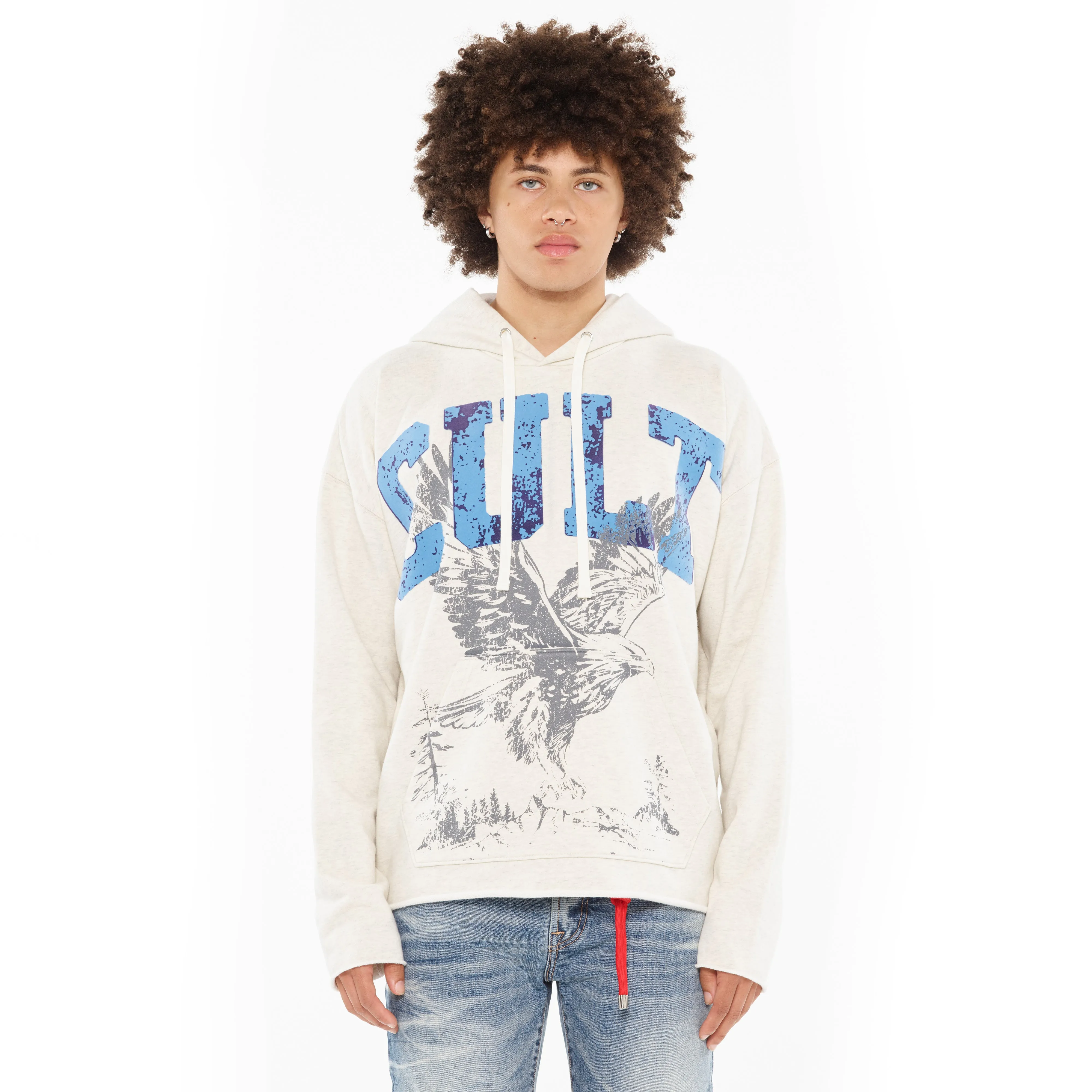 Cult's Pullover Novelty Sweatshirt in Cream Heather