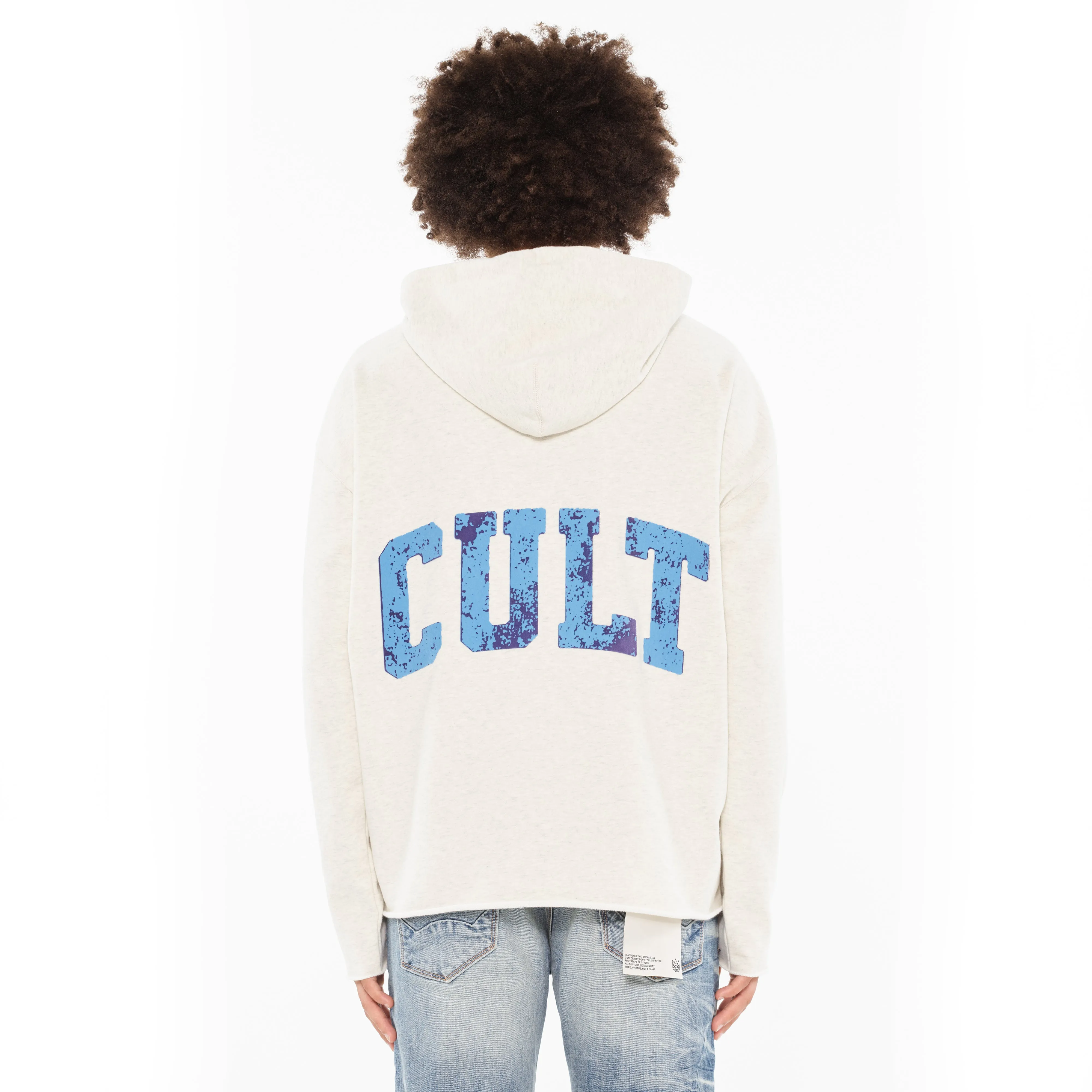 Cult's Pullover Novelty Sweatshirt in Cream Heather