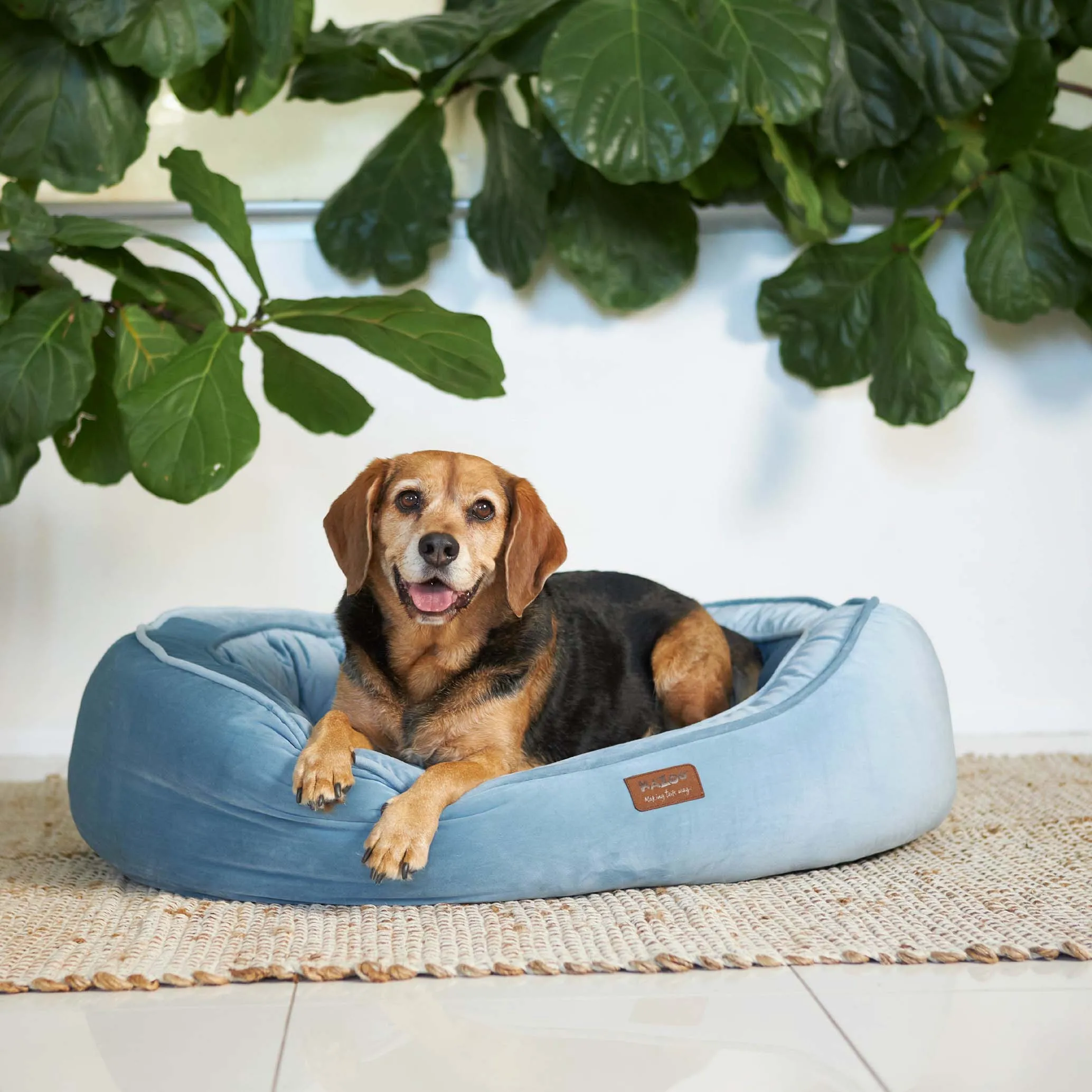 Kazoo Bilby Extra Large Twilight Blue Dog Bed