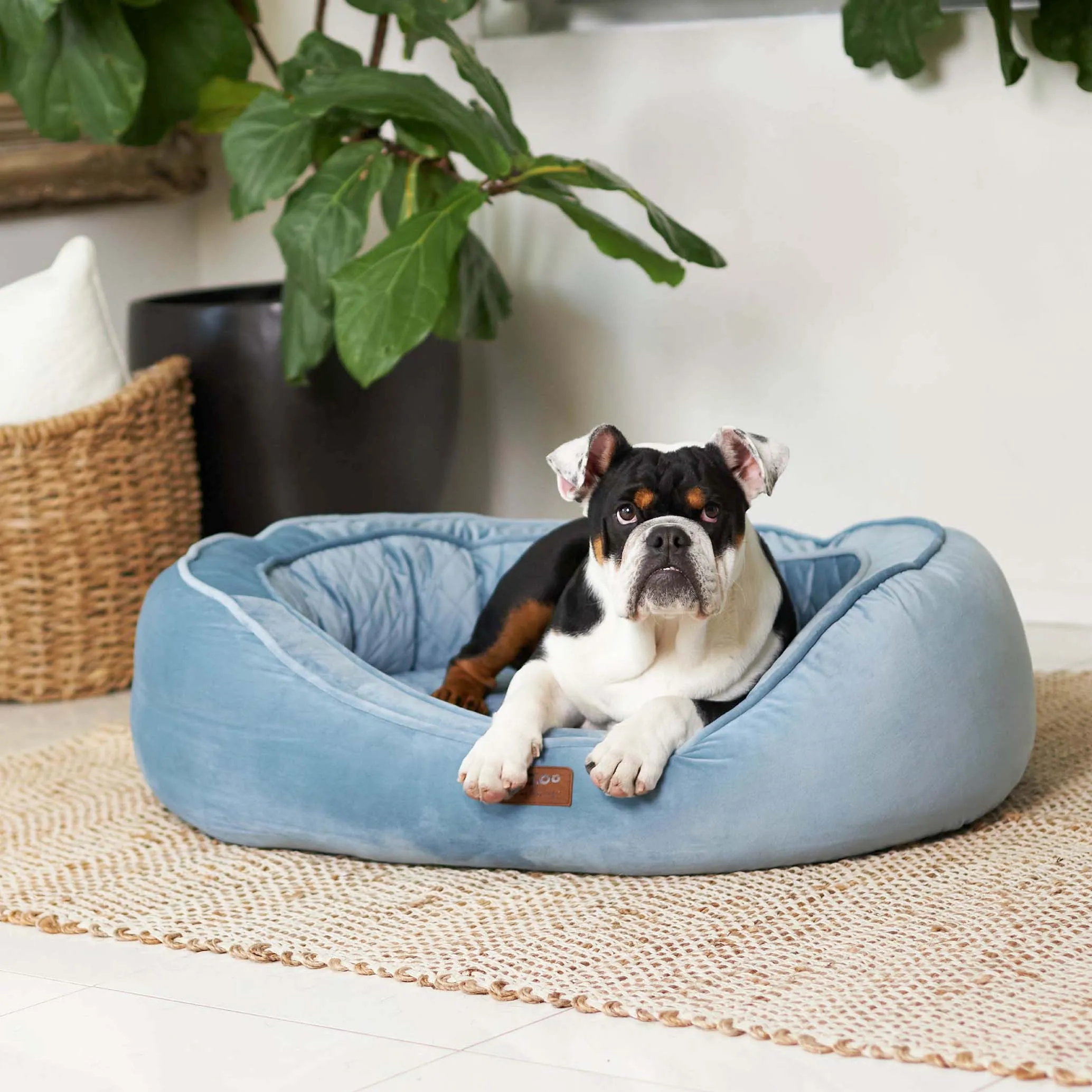 Kazoo Bilby Large Twilight Blue Dog Bed