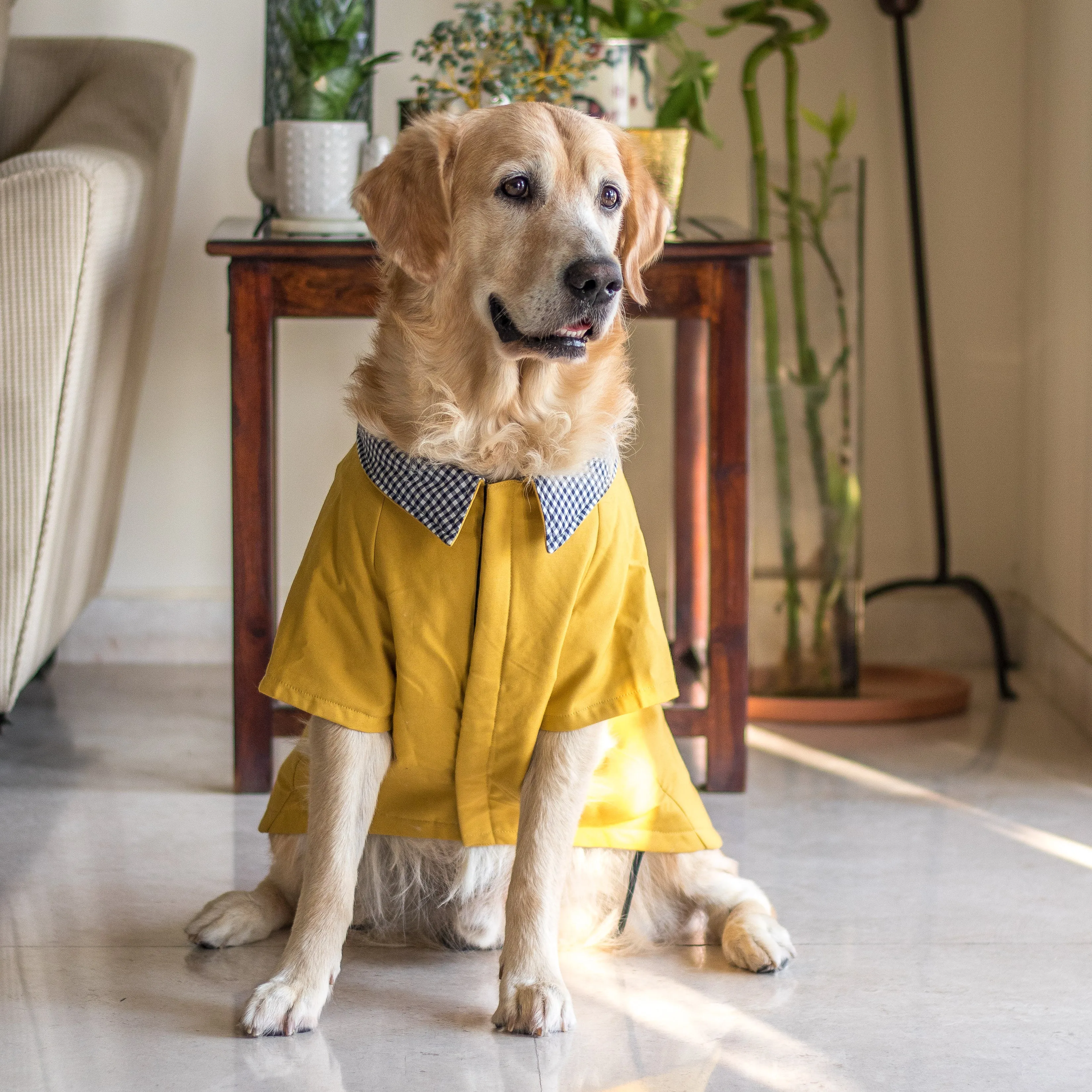 PoochMate Berlin Winter Dog Coat - Mustard