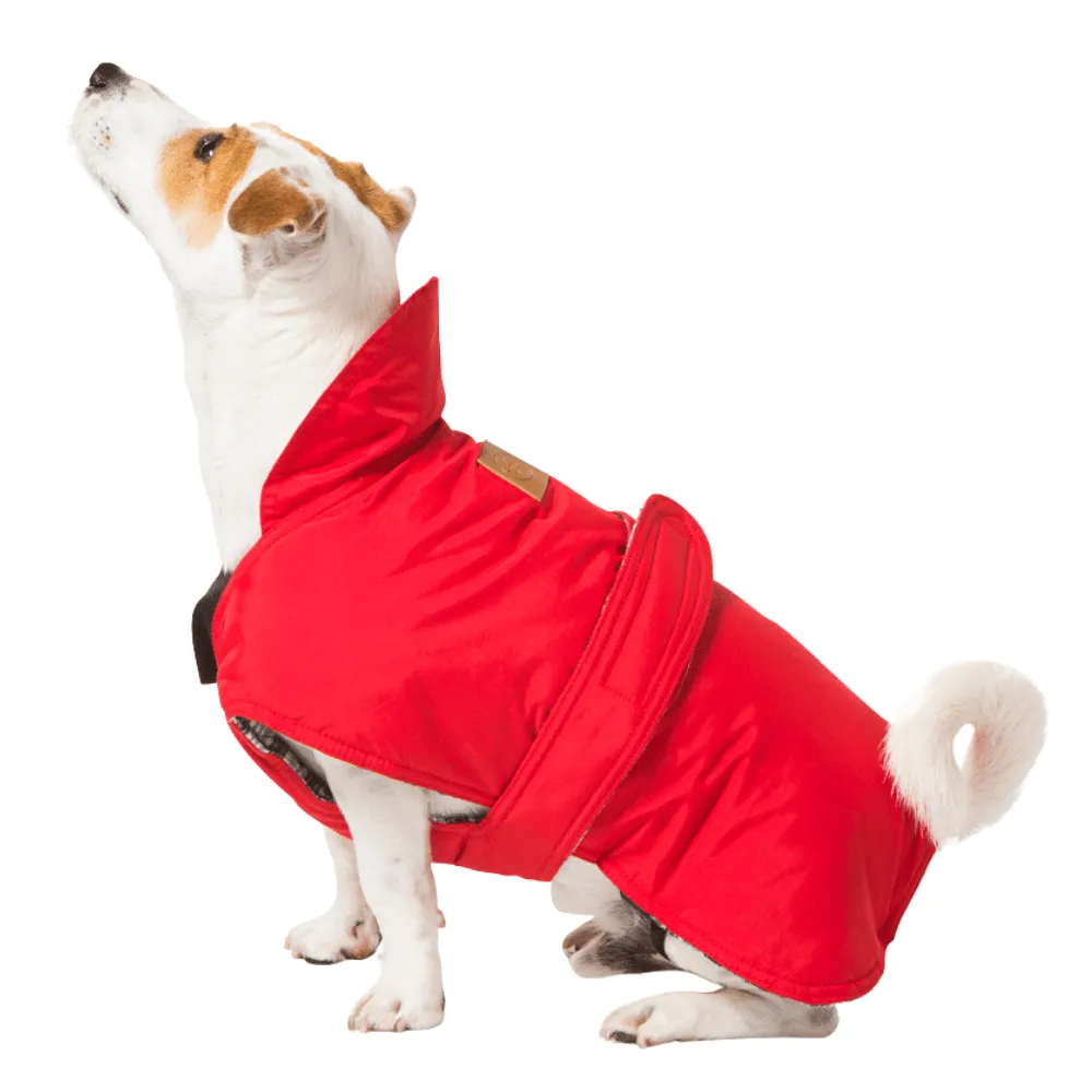 Red Dog Coat