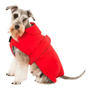 Red Dog Coat