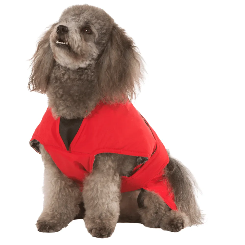 Red Dog Coat