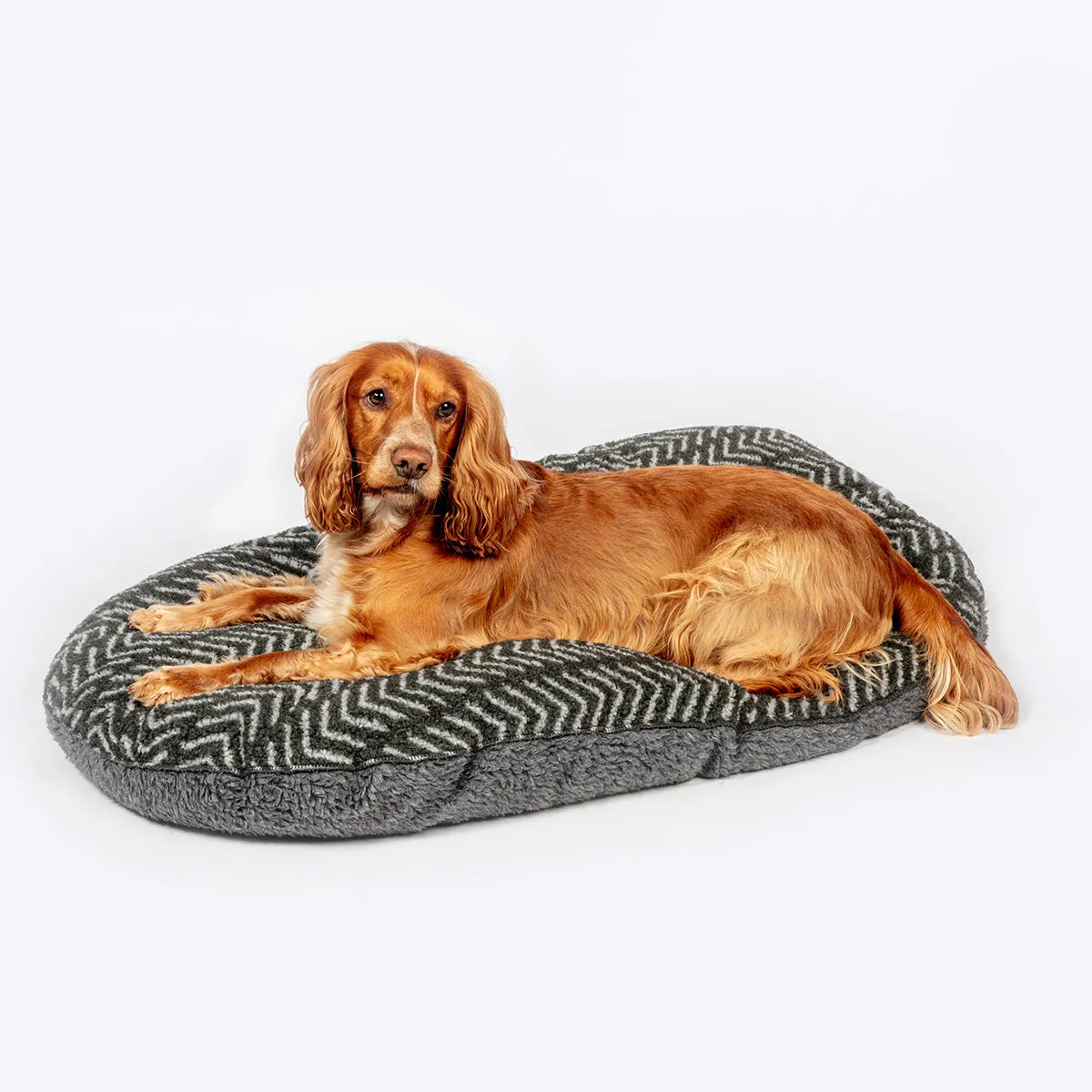 Sherpa Fleece Paw Quilted Mattress